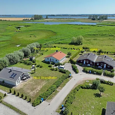 Daenische Ferienhaeuser Am Salzhaff Haus Strandhafer Holiday home *