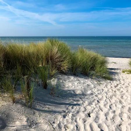 Daenische Ferienhaeuser Am Salzhaff Haus Strandhafer Holiday home