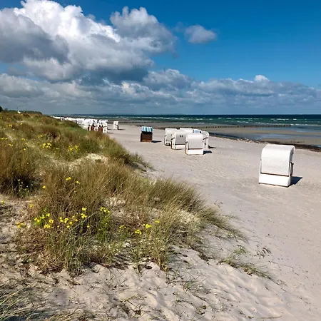 Daenische Ferienhaeuser Am Salzhaff Haus Strandhafer
