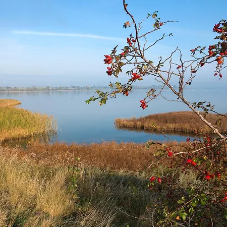 Daenische Ferienhaeuser Am Salzhaff Haus Strandhafer Дом отдыха