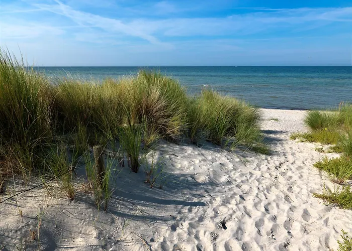 Daenische Ferienhaeuser Am Salzhaff Haus Strandhafer Holiday home